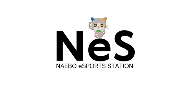 NAEBO eSPORTS STATION